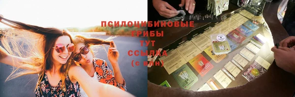 прущая мука Алзамай