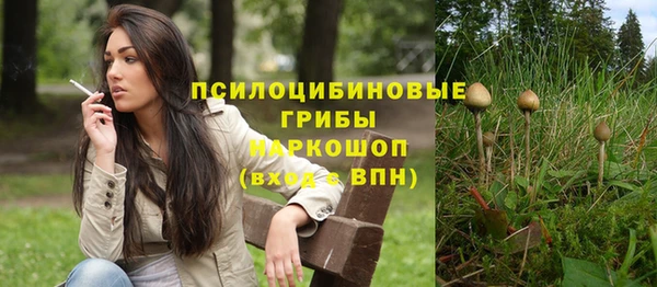 прущая мука Алзамай